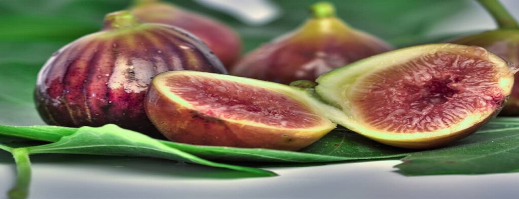 Properties of figs for men